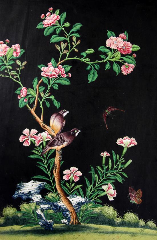 A set of eight Chinese watercolours of birds amid blossoming trees and rockwork, late 19th century, 44cm x 31.5cm